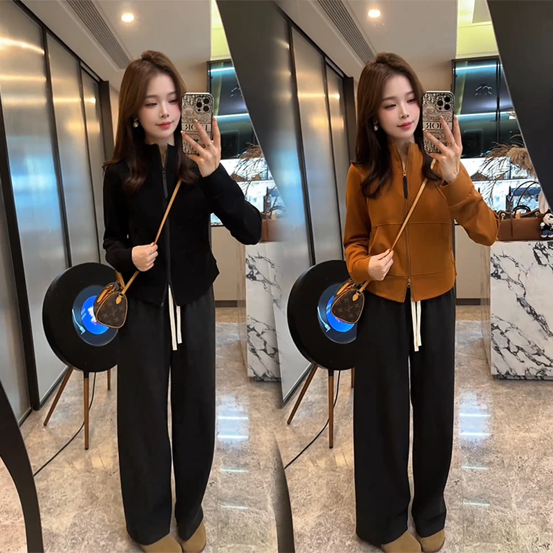 秋季洋气减龄韩版立领上衣显瘦百搭卫衣女松紧腰直筒休闲裤两件套