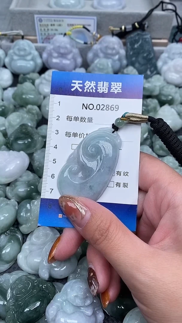 颈饰未镶嵌翡翠纯天然A货翡翠2869