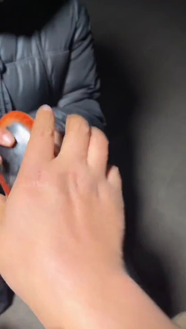 未镶嵌和田玉挂件8