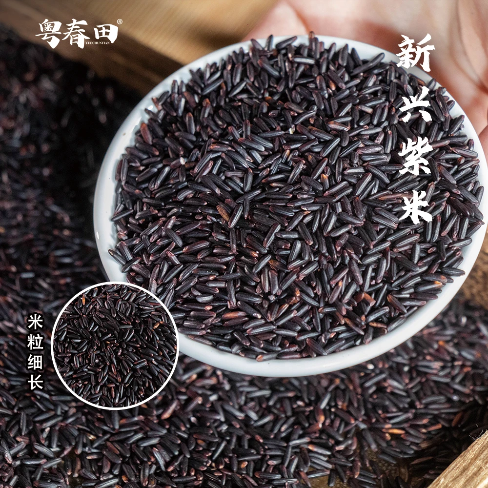 [粤春田] 新兴紫米 源头产地 糙米粗粮 富含花青素 真空包装