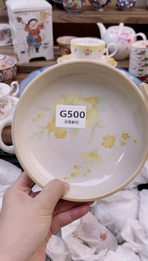 瓷片雪**?         500