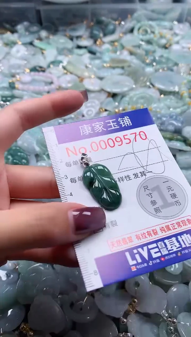 翡翠未镶嵌吊坠(不含链)9570