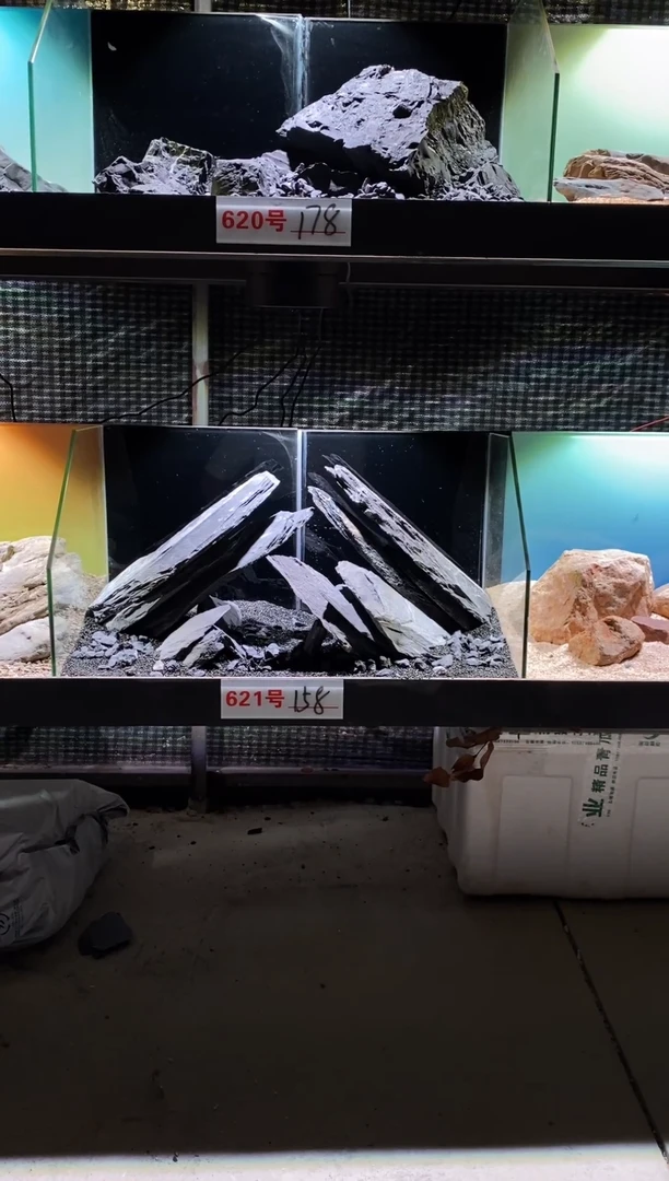 621号鱼缸造景（不含底砂）