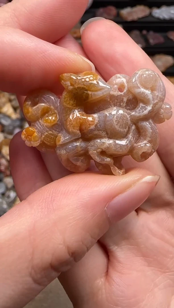硅化珊瑚（珊瑚玉）未镶嵌颈饰236