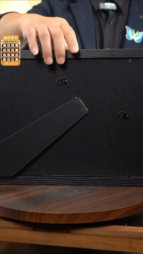 动物标本摆件竞拍b31