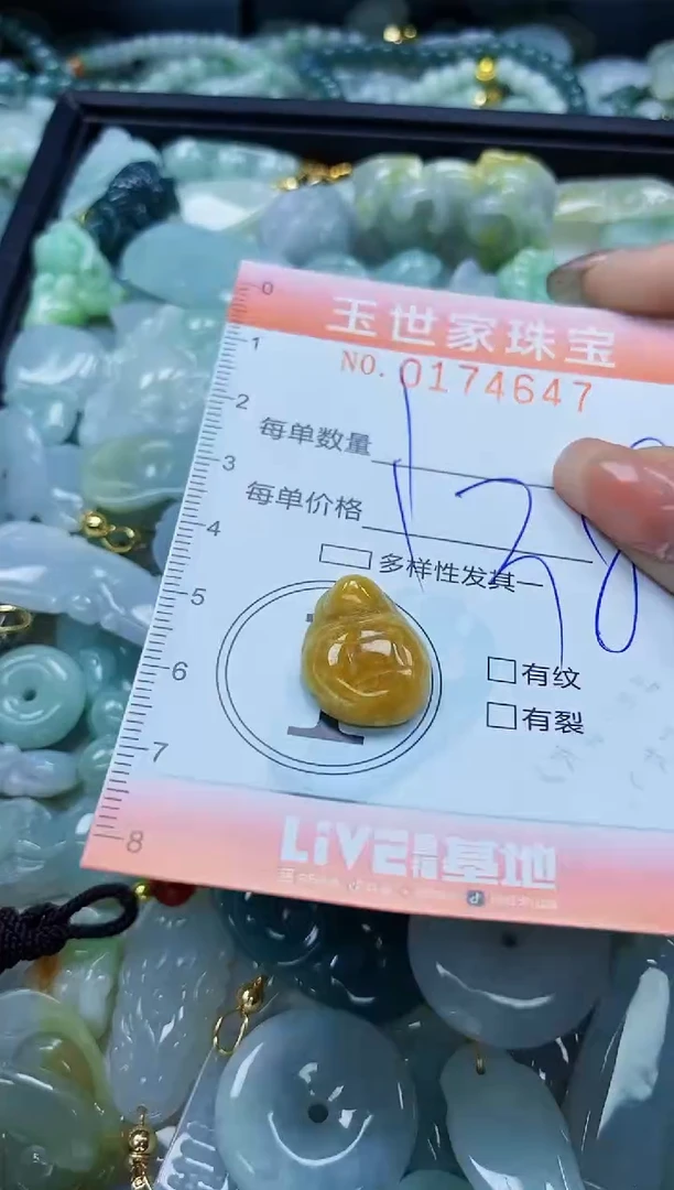 【闪购商品】翡翠颈饰未镶嵌闪购0174647