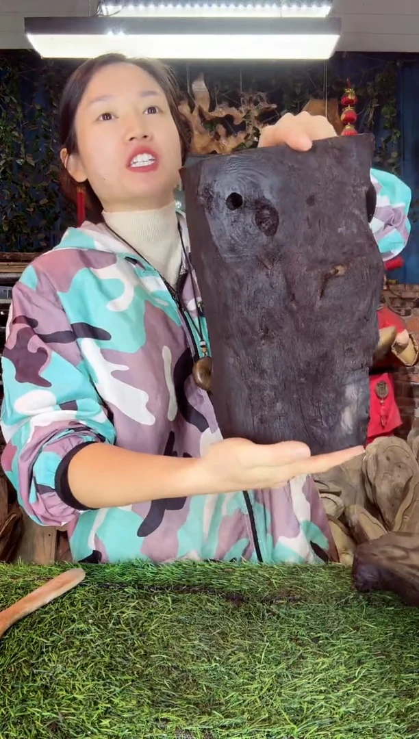 金丝楠小叶桢楠40