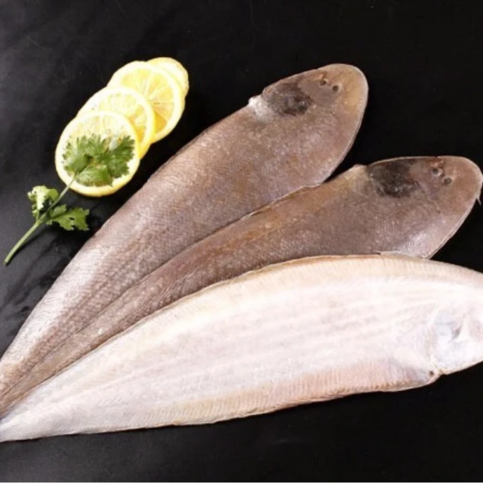速冻 广东博贺渔港 龙利鱼 4斤 三去处理 顺丰包邮
