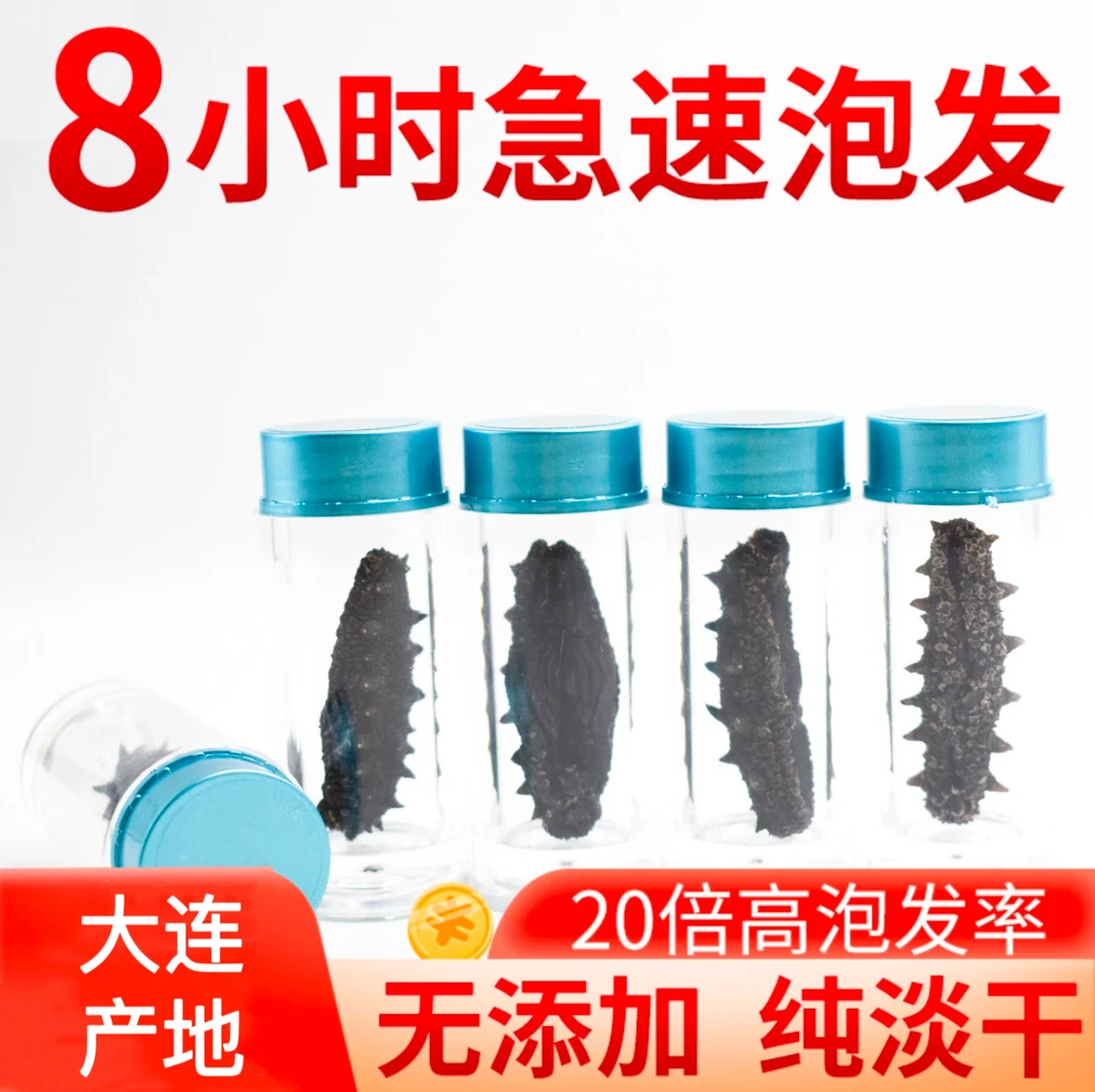开水泡发海参干海参速发8小时可吃养身海参300头左右/500g无添加