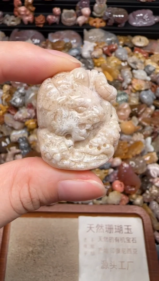 硅化珊瑚（珊瑚玉）未镶嵌颈饰163