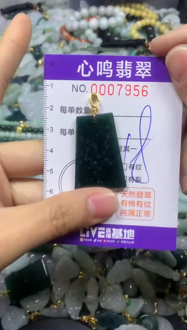 【闪购商品】翡翠颈饰未镶嵌闪购007956