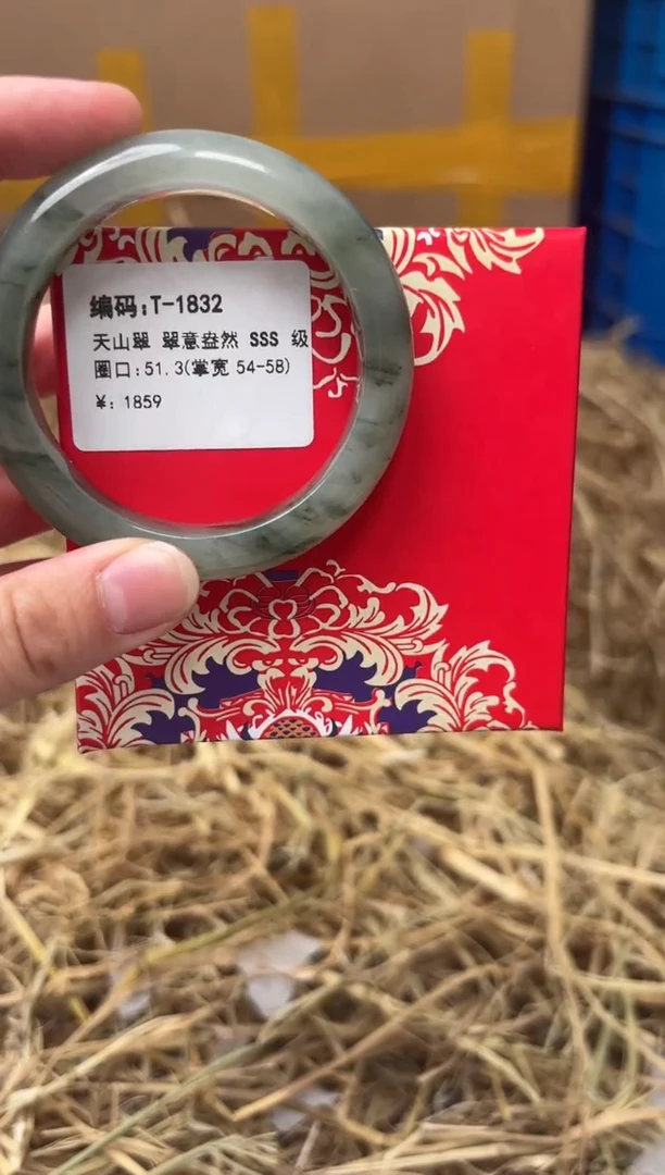 未镶嵌手镯石英质玉T-1832