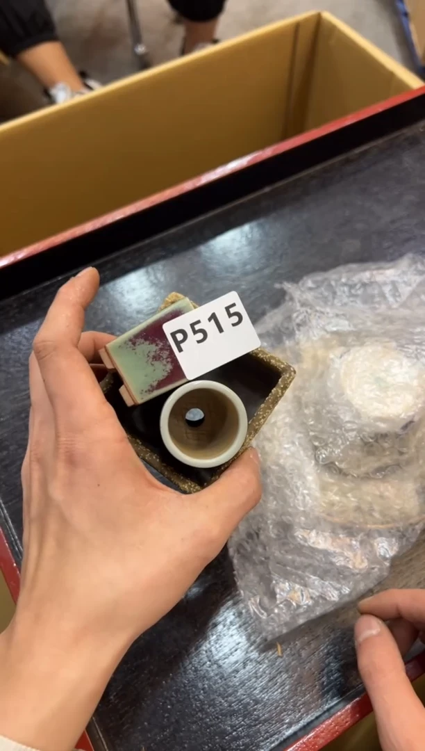 其他上**9515中古商品，谨慎参拍