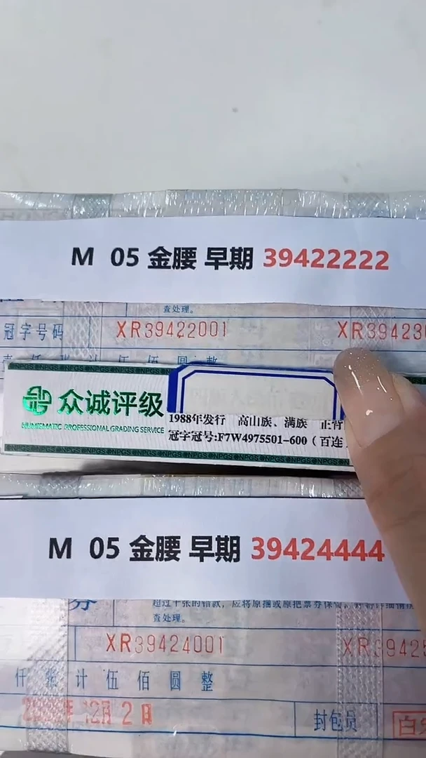 M  05 金腰 早期 39422222