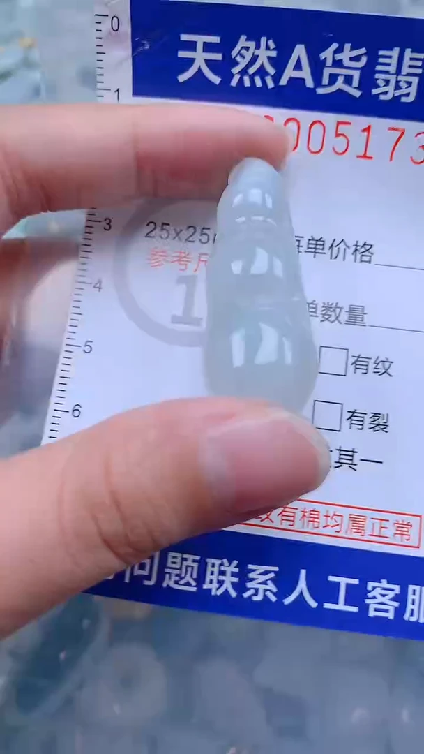 翡翠未镶嵌吊坠(不含链)1