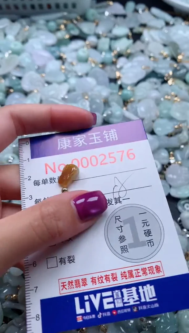 颈饰未镶嵌翡翠2576