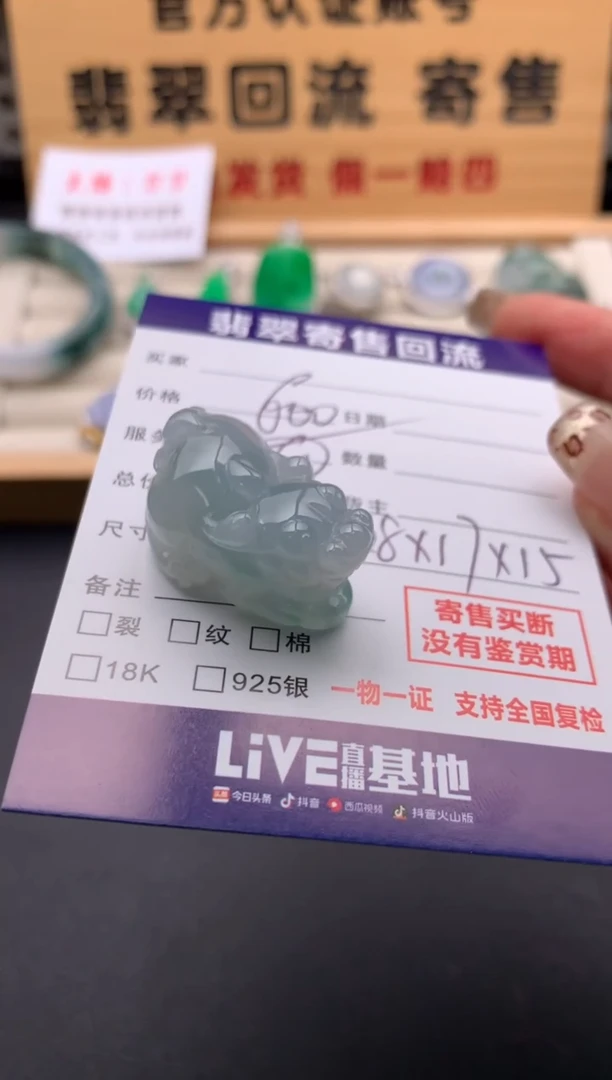 翡翠未镶嵌颈饰10130502