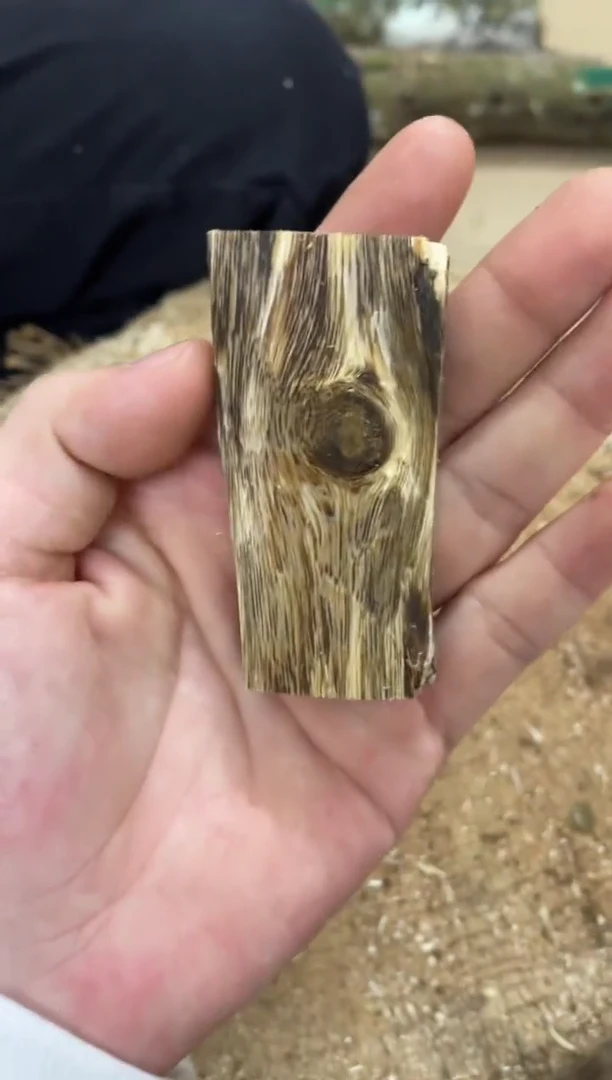 沉香沉香碎屑棋楠沉香 原料文创1