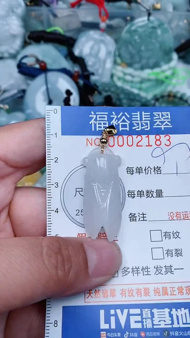 【闪购商品】翡翠颈饰未镶嵌...0002183