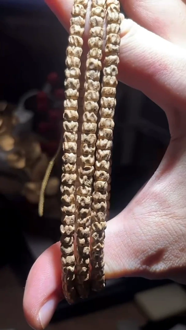 手串柏香籽/百香籽88251103-09