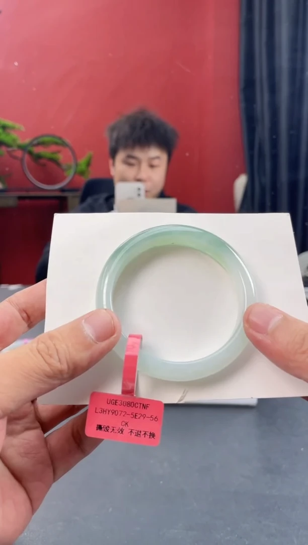 未镶嵌手镯翡翠5