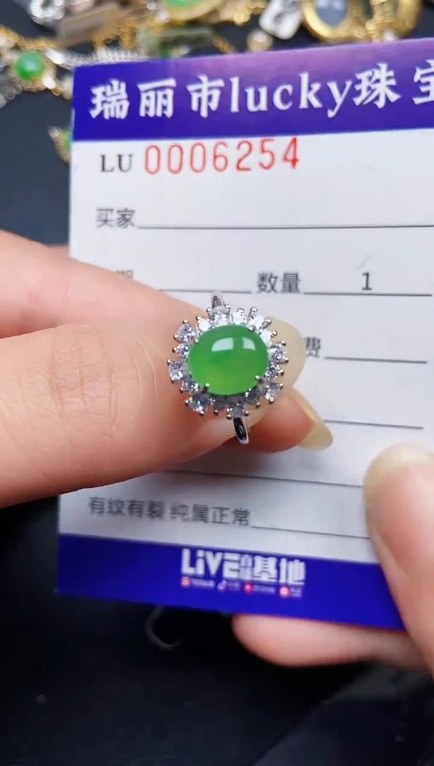 翡翠银S925镶嵌颈饰6254