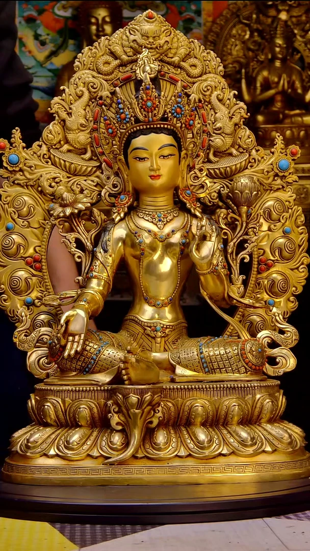 ?****?00000000000000000000