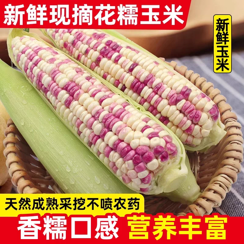 当季新鲜软糯香甜小花玉米现摘饱满带皮蔬菜包邮