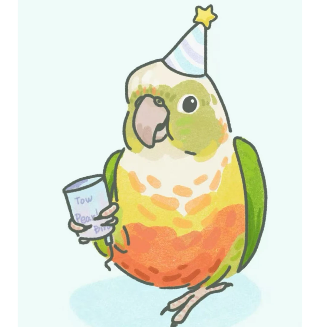 太手养半毛雏鸟亲人互动性强家庭小型鹦鹉阳