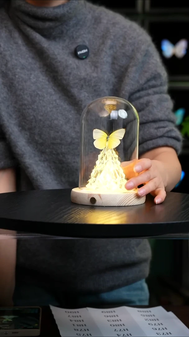 迁粉蝶圣诞灯款