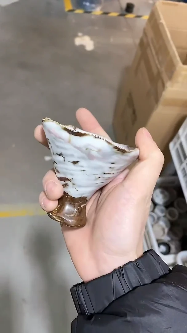 【闪购商品】瓷片过年过年放福利福利98