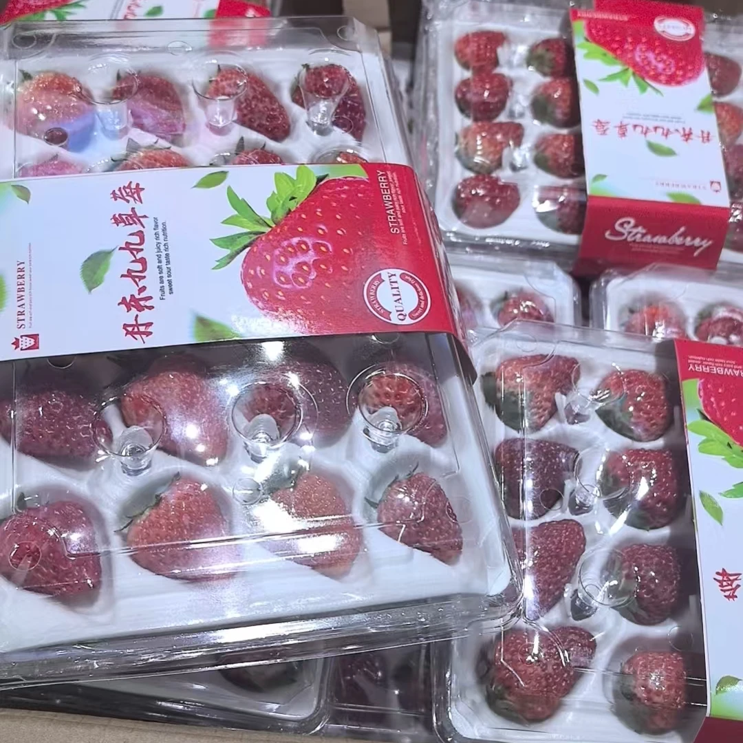 【顺丰配送】久久草莓一盒