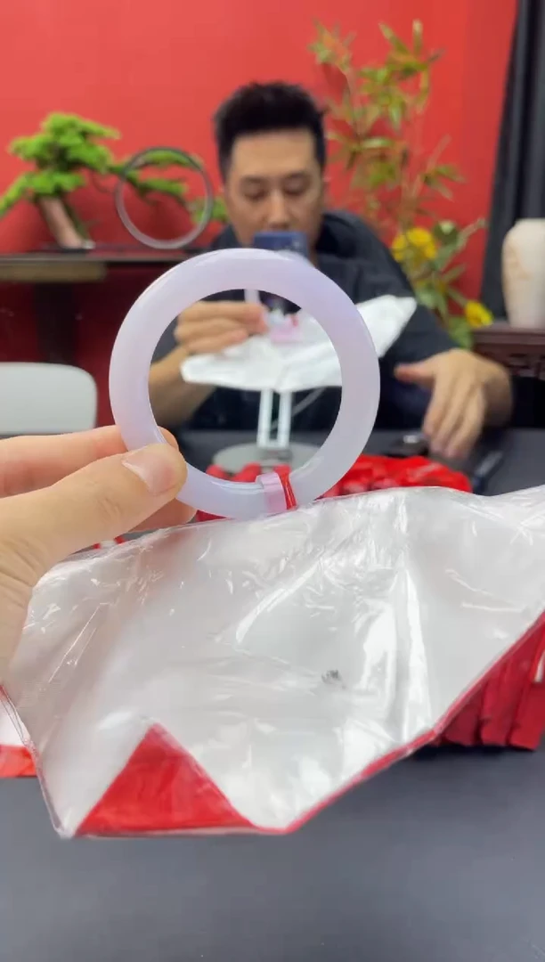 未镶嵌手镯翡翠2