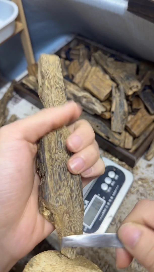 沉香沉香碎屑海南乌身原叶金丝黄油