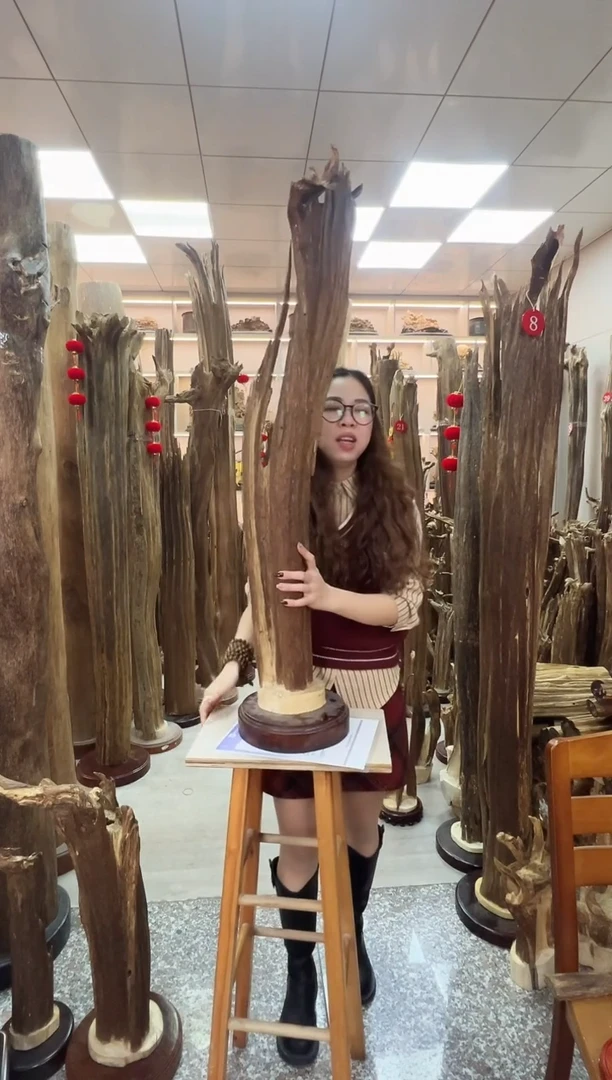 【闪购商品】沉香摆件沉香原料摆件