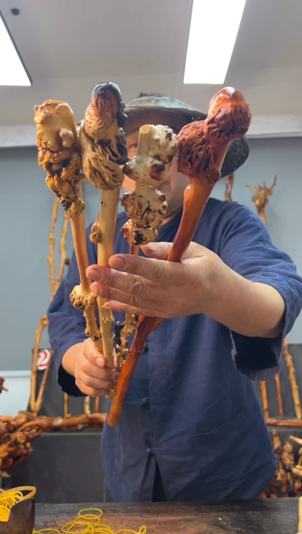 【闪购商品】黑果木其他黑果木035