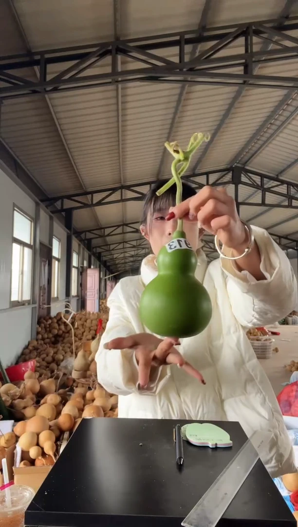 913天然葫芦摆件 一物一拍龙头不保售后