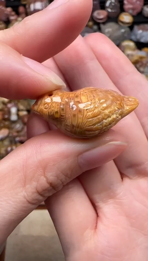 颈饰未镶嵌硅化珊瑚（珊瑚玉）670