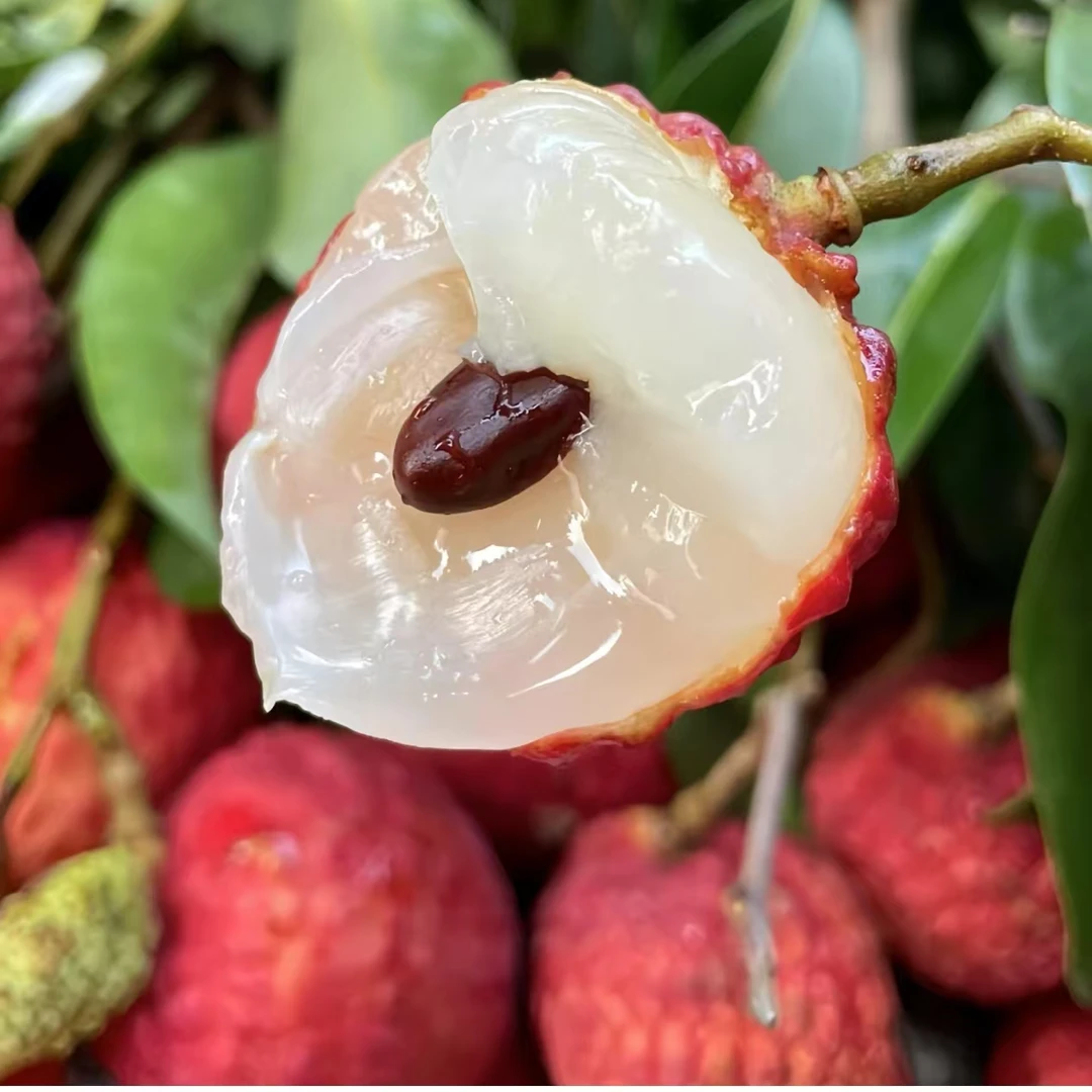 【济南小时达】红花荔枝现摘新鲜不泡水2-5斤