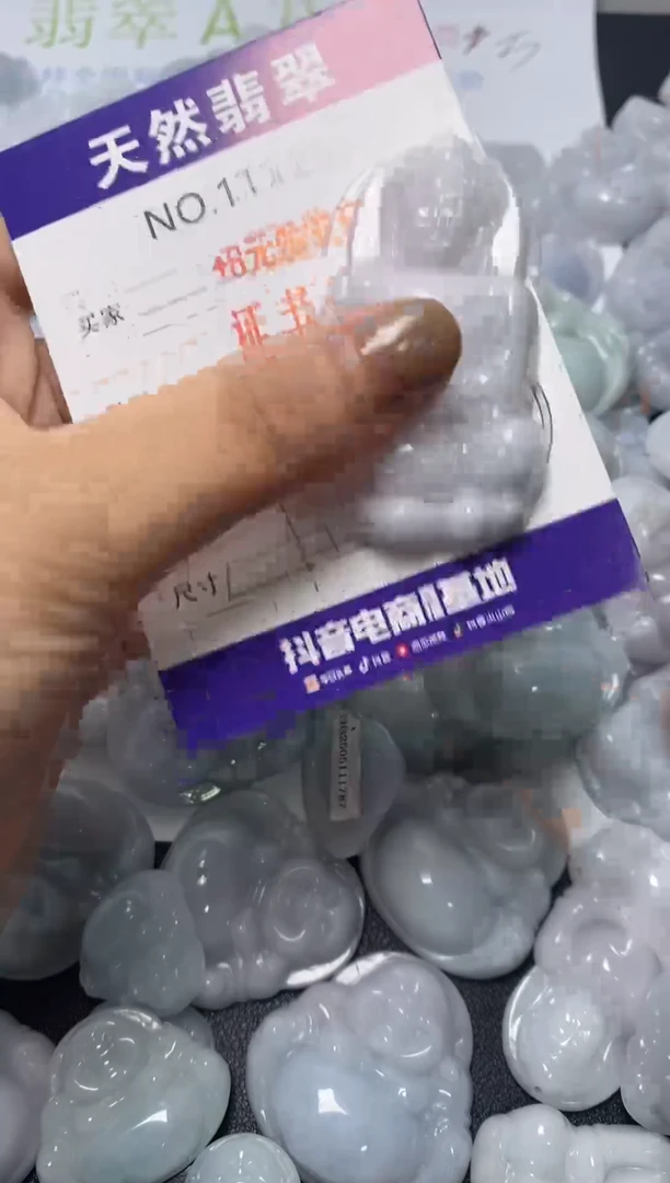 翡翠未镶嵌吊坠(不含链)254