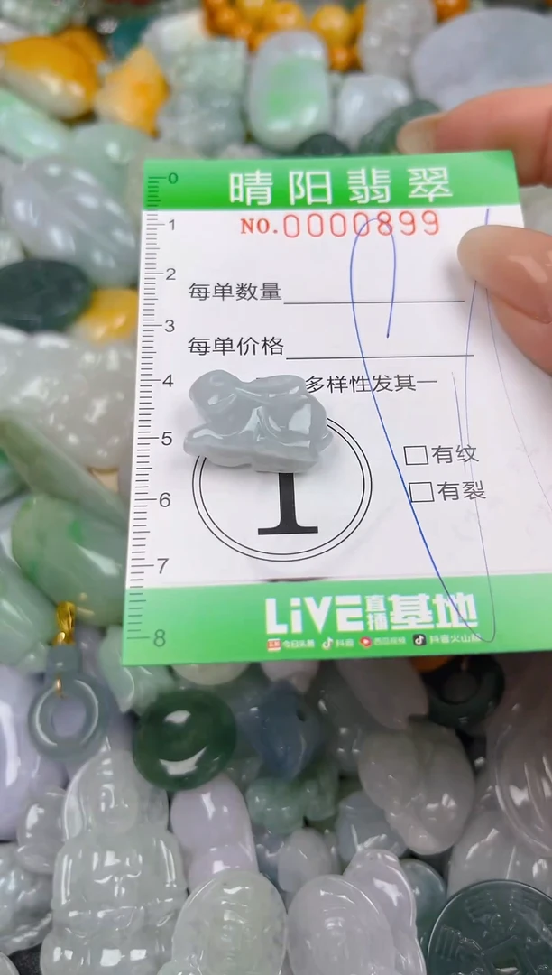 翡翠未镶嵌颈饰闪购0000899