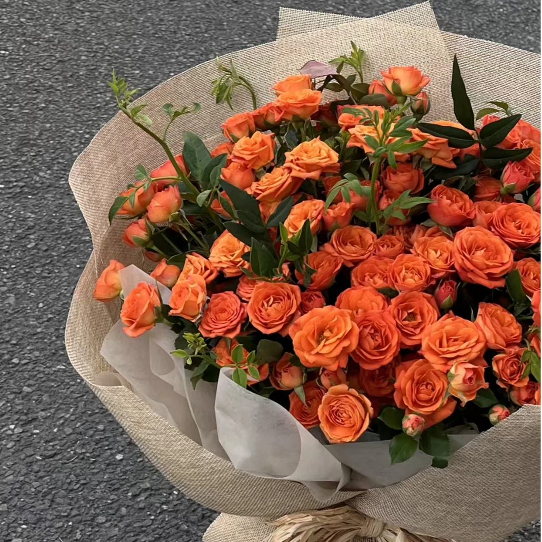 【阳台花园】【多头橙色芭比】A级多头玫瑰8支+2支防货损中通顺丰包邮