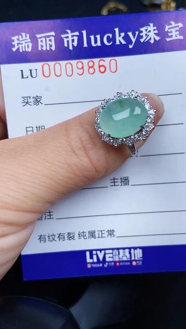 翡翠银S925镶嵌颈饰9860