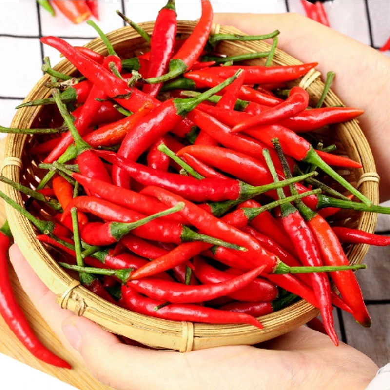 【限量抢9斤】新鲜小米辣小米辣椒朝天椒特辣红辣椒批发小米辣100g