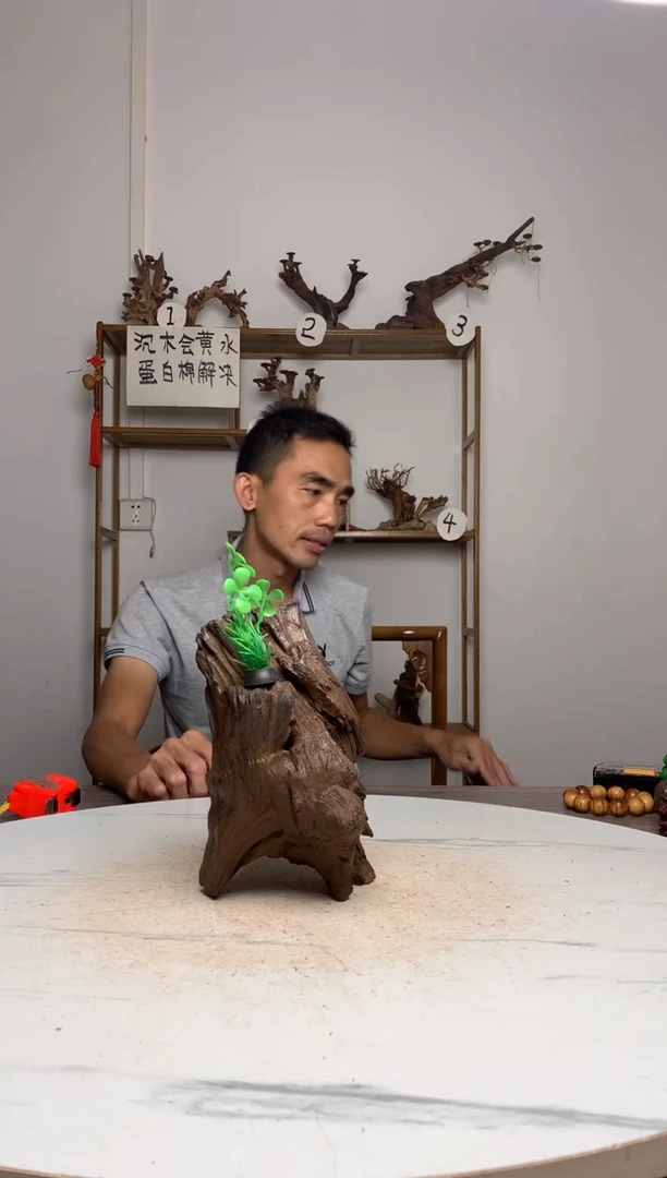 张*僿鱼缸造景沉木摆件