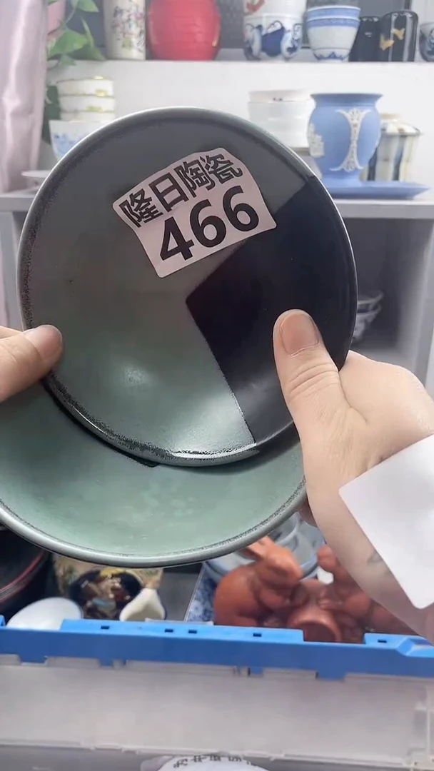 【闪购商品】瓷片466longritaoci