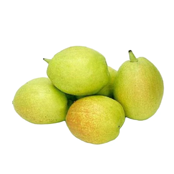 新疆库尔勒香梨原箱发货50-70克新鲜水果