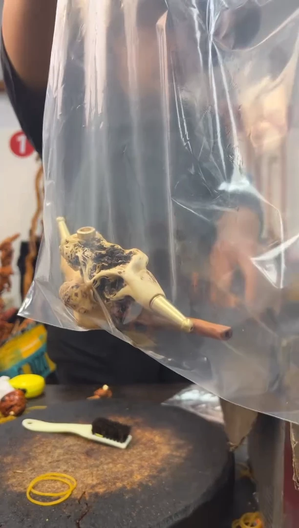 黑果木其他黑果木448