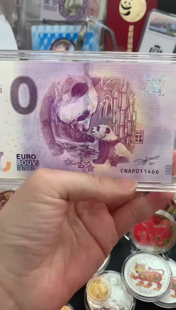 纯银努*2019年国宝双臻套装