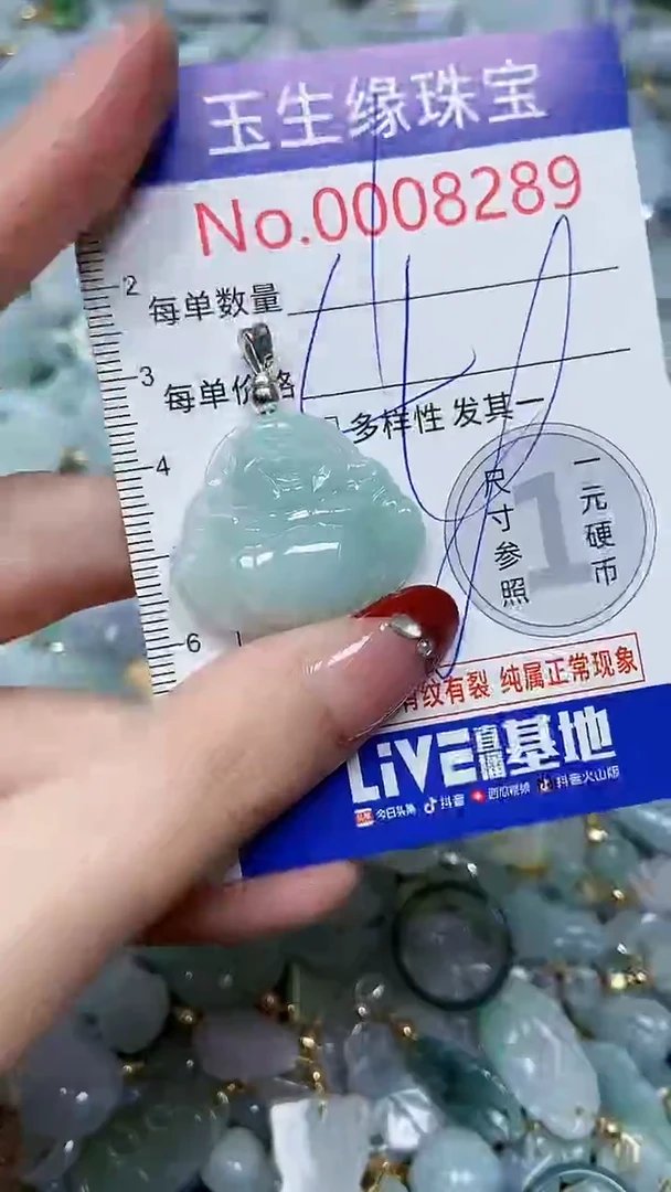 【闪购商品】翡翠颈饰未镶嵌闪购00008289